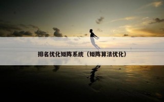 排名优化矩阵系统（矩阵算法优化）