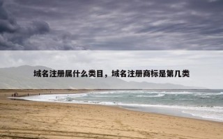域名注册属什么类目，域名注册商标是第几类