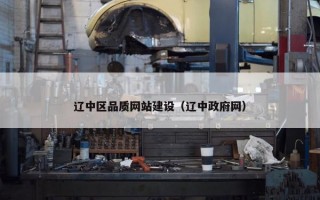 辽中区品质网站建设（辽中政府网）