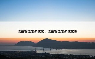 流量智选怎么优化，流量智选怎么优化的