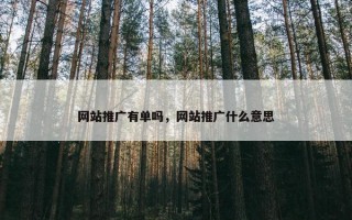 网站推广有单吗，网站推广什么意思
