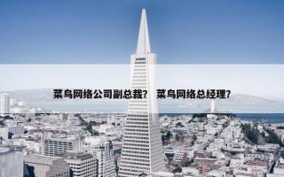 菜鸟网络公司副总裁？ 菜鸟网络总经理？