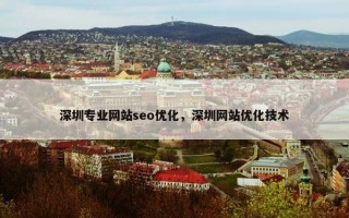 深圳专业网站seo优化，深圳网站优化技术