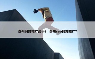 泰州网站推广高手？ 泰州seo网站推广？