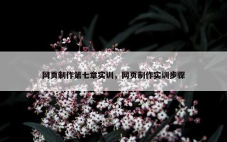 网页制作第七章实训，网页制作实训步骤