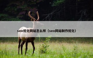 seo优化网站怎么样（seo网站制作优化）