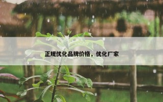 正规优化品牌价格，优化厂家