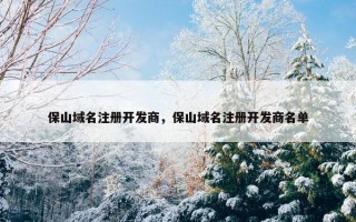 保山域名注册开发商，保山域名注册开发商名单