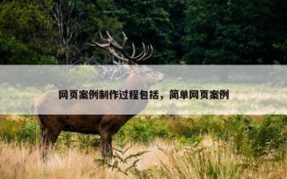网页案例制作过程包括，简单网页案例