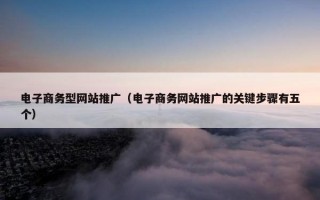 电子商务型网站推广（电子商务网站推广的关键步骤有五个）