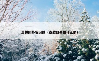 卓越网外贸网站（卓越网是做什么的）