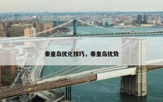 秦皇岛优化技巧，秦皇岛优势