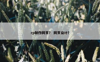 rp制作网页？ 网页设计？