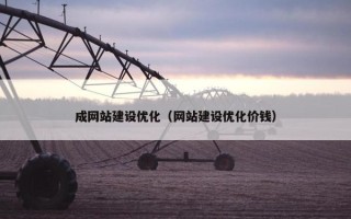 成网站建设优化（网站建设优化价钱）