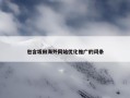 包含坂田海外网站优化推广的词条