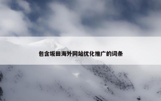 包含坂田海外网站优化推广的词条