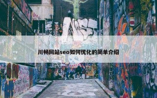 川畅网站seo如何优化的简单介绍