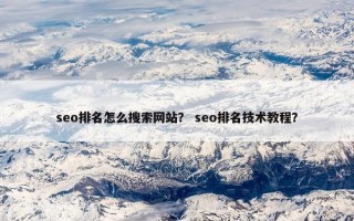 seo排名怎么搜索网站？ seo排名技术教程？