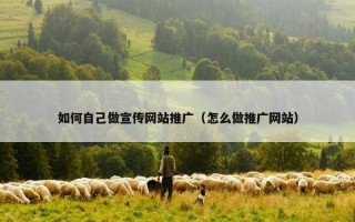 如何自己做宣传网站推广（怎么做推广网站）