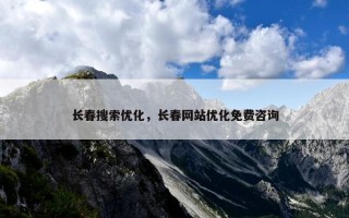 长春搜索优化，长春网站优化免费咨询