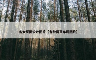 各大页面设计图片（各种网页布局图片）