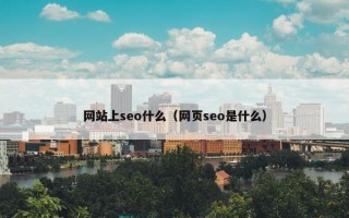 网站上seo什么（网页seo是什么）