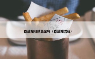 自建站收款美金吗（自建站流程）