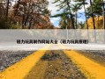 磁力玩具制作网站大全（磁力玩具原理）