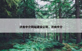 济南中介网站建设公司，济南中介