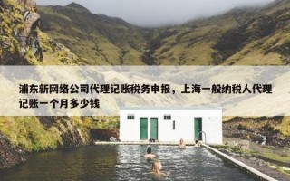 浦东新网络公司代理记账税务申报，上海一般纳税人代理记账一个月多少钱