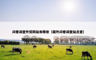 问卷调查外贸网站有哪些（国外问卷调查站点查）
