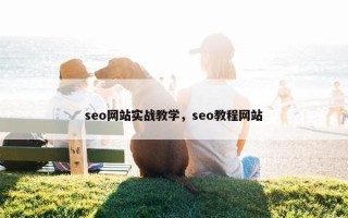 seo网站实战教学，seo教程网站