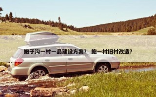 鲍子沟一村一品建设方案？ 鲍一村旧村改造？