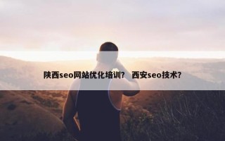 陕西seo网站优化培训？ 西安seo技术？
