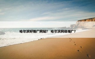 哈尔滨好推广网站？ 哈尔滨网络推广？