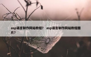 asp语言制作网站教程？ asp语言制作网站教程图片？