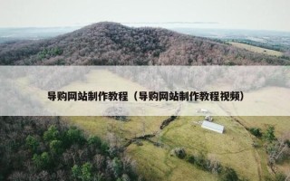 导购网站制作教程（导购网站制作教程视频）