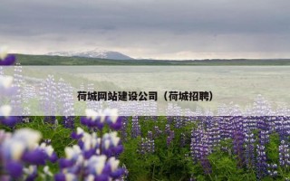 荷城网站建设公司（荷城招聘）