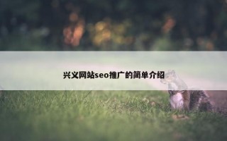 兴义网站seo推广的简单介绍