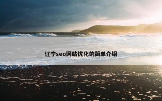 辽宁seo网站优化的简单介绍