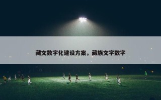 藏文数字化建设方案，藏族文字数字