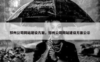 邳州公司网站建设方案，邳州公司网站建设方案公示