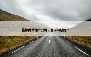 临颍网站推广公司，漯河网站推广