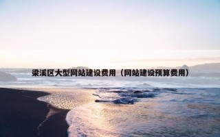 梁溪区大型网站建设费用（网站建设预算费用）