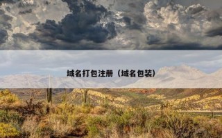 域名打包注册（域名包装）