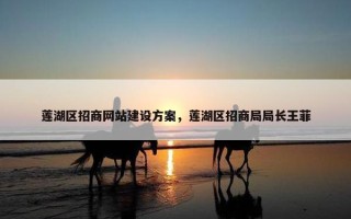 莲湖区招商网站建设方案，莲湖区招商局局长王菲