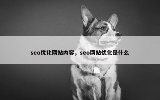 seo优化网站内容，seo网站优化是什么