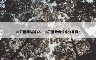 南开区网站建设？ 南开区政府信息公开网？