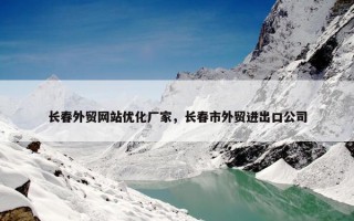 长春外贸网站优化厂家，长春市外贸进出口公司
