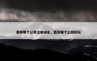 西安哪个公司注册域名，西安哪个公园好玩